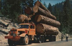 Logging Truck Hauling Logs on Mountain Roads Postcard