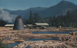 Northwest Sawmill and Log Pond Postcard
