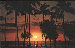 Cocopalms Silhouetted in Brilliant Hawaiian Setting Sun Postcard