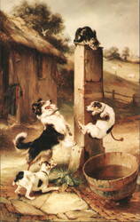 "BAFFLED" by Walter Hunt, Dogs Playing Postcard