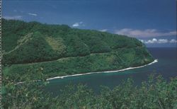 Road to Hana, Lush Coastline & Winding Highway, Maui Postcard