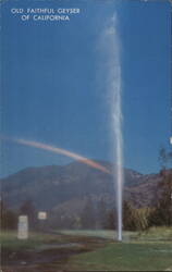Old Faithful Geyser of California, Napa Valley Postcard