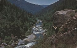 North Fork of the Yuba River, Forested Valley Postcard
