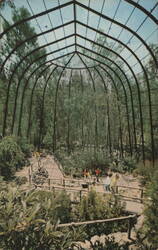 San Diego Zoo Walk-through Bird Cage Aviary Postcard