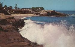 The Cove, La Jolla, CA - Alligator Head, Waves & Beach Postcard