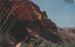 Fish Creek Hill on Apache Trail, AZ - Winding Road Postcard
