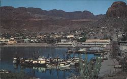 Guaymas Shrimp Fleet, Harbor & Mountains Postcard