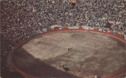 Bullfighting at Plaza de Toros, Mexico City Postcard