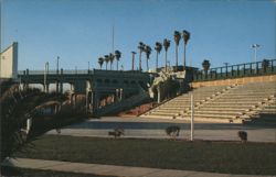 Oceanside Beach Stadium, Palm Trees, Bridge Postcard