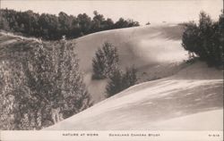 Duneland Camera Study, Nature at Work, Sand Dunes Postcard