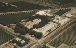 Christian Brothers Mount Tivy Winery, Reedley CA Postcard