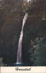 Horsetail Falls, Oregon Postcard