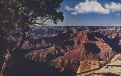 Grand Canyon National Park, Arizona - Scenic View Postcard