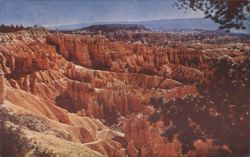 Bryce Canyon National Park, UT - Red Rocks & Pinnacles Postcard
