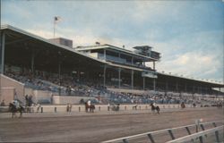 Grandstand at Delaware Park Raceway Postcard