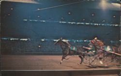 Brandywine Raceway Night Harness Racing, Wilmington DE Postcard