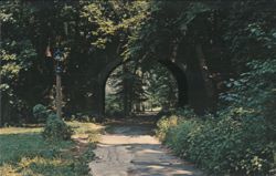 Footpath under Monkey Hill Bridge, Brandywine Creek Postcard