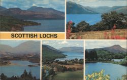 Scottish Lochs: Lomond, Awe, Fyne, Earn, Ard Postcard