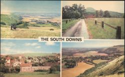 The South Downs: Devil's Dyke, Chanctonbury Ring Postcard