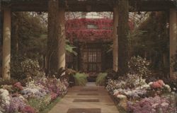 Longwood Gardens Main Conservatory Kennett Square PA 1974 Chrome Postcard