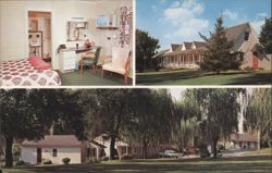 The Willows Motel - Interior & Exterior Views Postcard