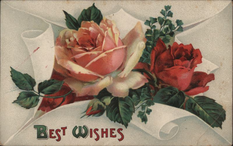 Pink & Red Roses 'Best Wishes' Birthday Greetings Flowers