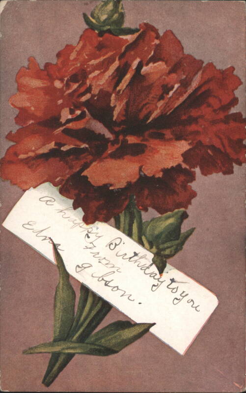 Red Carnation Flower with Happy Birthday Greeting to Edna