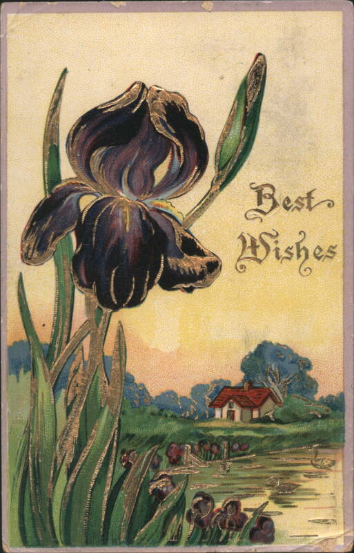 Dark Iris Flower, Best Wishes Greeting, House & Pond Landscape