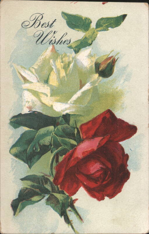 Best Wishes Greeting with Red and White Roses Floral Illustration