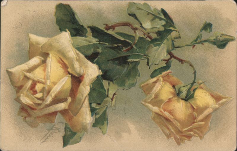 Three Yellow Roses Still Life Art Illustration Flowers