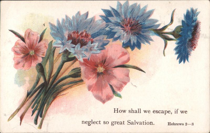 Blue and Pink Flowers with Hebrews 2-3 Scripture