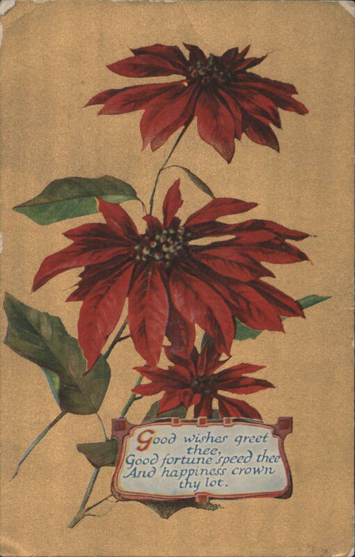 Red Poinsettias with 'Good Wishes Greet Thee' Poem