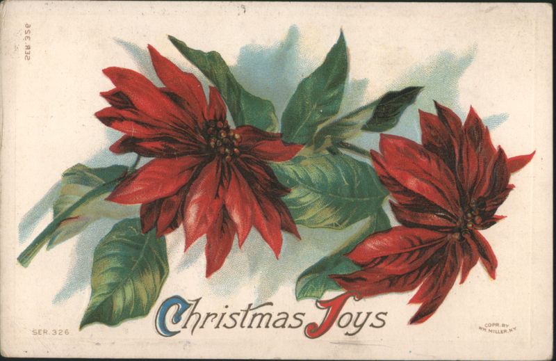 Christmas Joys Poinsettias Holiday Greeting