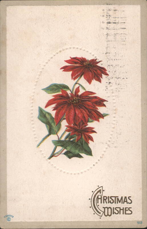 Poinsettias & Christmas Wishes, Hornder Flowers