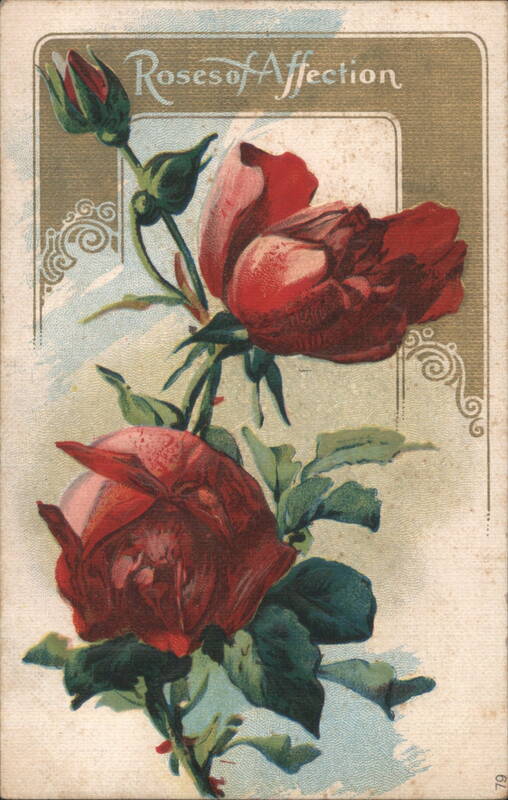 Roses of Affection - Red Roses Floral Arrangement Flowers