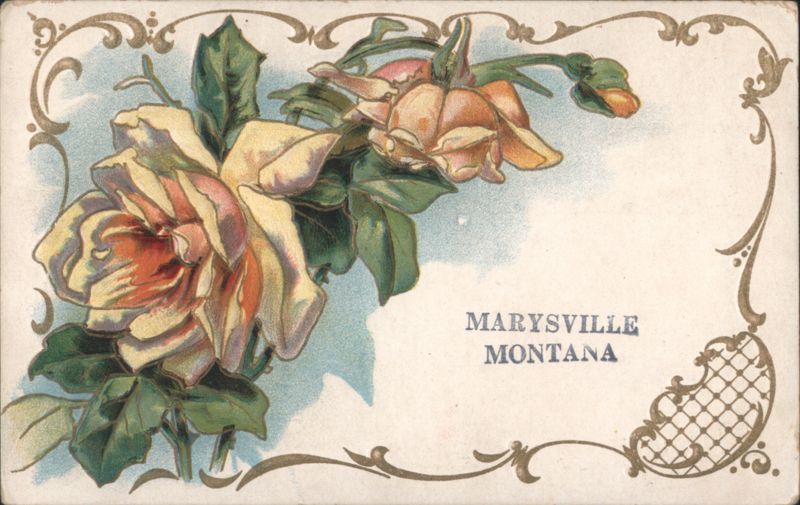 Ornate Roses Illustration, Marysville, Montana Flowers