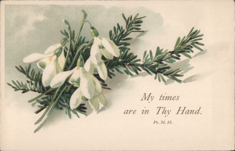 Snowdrop Flowers & Evergreen Sprigs with Religious Bible Verse