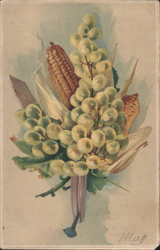 Green Grapes, Corn Cobs, and Husks Still Life Illustration by Mag