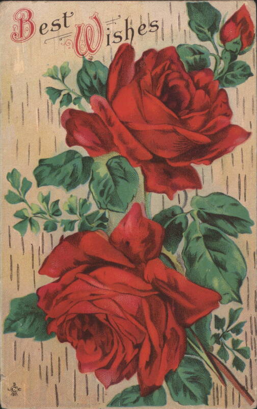 Best Wishes Red Roses Floral Greeting Card Flowers