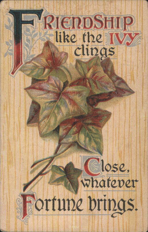 FRIENDSHIP like the IVY clings Quote with Decorative Ivy Leaves