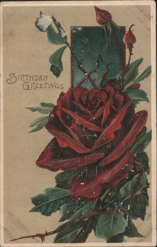 Red Rose with Thorns and Birthday Greetings
