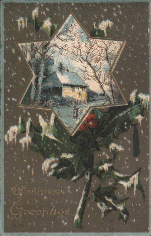 Christmas Greetings with Winter Scene in Star & Snow-Covered Holly