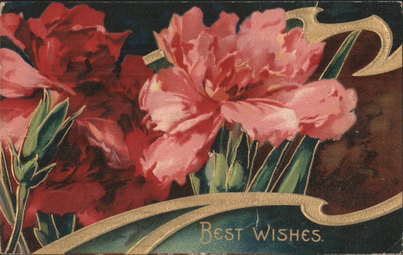 Best Wishes with Vibrant Red and Pink Flowers