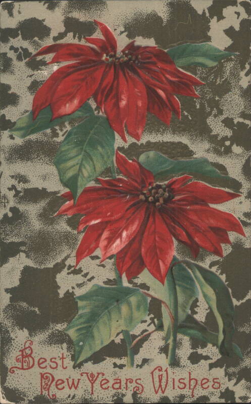 Poinsettias with Best New Years Wishes Flowers