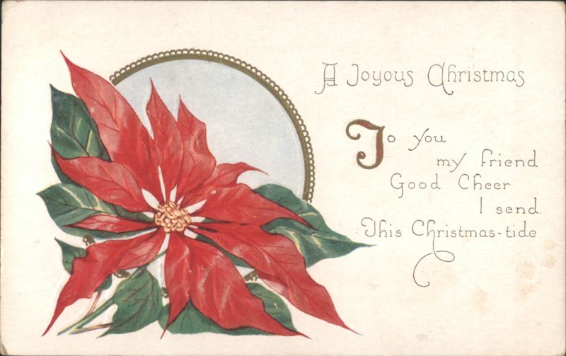 Poinsettia Flower Christmas Greeting with Handwritten Message