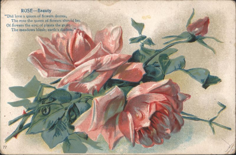 ROSE—Beauty Poem with Pink and Red Roses, Stock 77