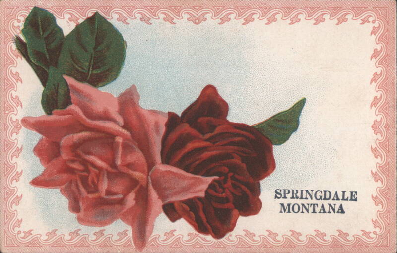 Roses with Decorative Border - Springdale, MT Flowers