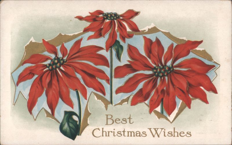 Best Christmas Wishes Poinsettias Holiday Floral Illustration