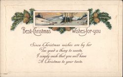 Best Christmas Wishes Winter Scene Pinecones Poem 1921 Postcard