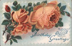Illustrated Pink Roses with Birthday Greetings Postcard